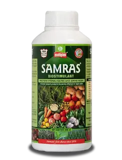 Samras - 18 Natural Plant-Derived Amino Acids - Multiplex Products