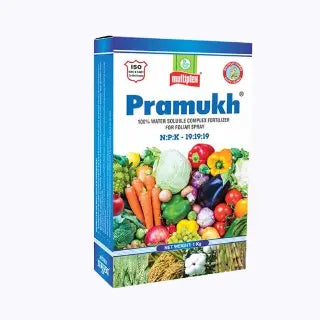 Pramukh - NPK 19:19:19 Water-Soluble Fertilizer - Multiplex Products