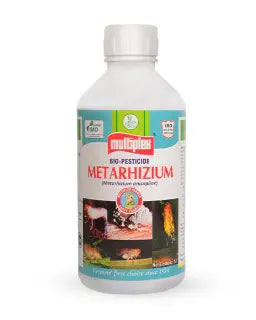 Metarhizium - Metarhizium anisopliae (Min. 1 × 10⁸ CFU/ml) - Multiplex Products