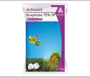 Acemain - Acephate 75% SP - ADAMA