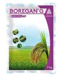 Boregan G - Cartap Hydrochloride 4% GR - ADAMA