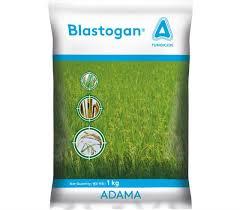 Blastogan - Tricyclazole 75% WP - ADAMA