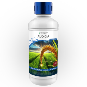Audicia - Isoprothiolane 40% EC - Parijat