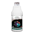 Calobrite - Chelated Calcium as Calcium Glycine - Parijat