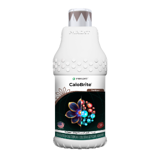 Calobrite - Chelated Calcium as Calcium Glycine - Parijat
