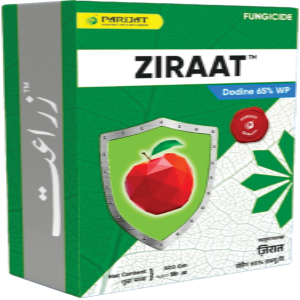 Ziraat - Dodine 65% WP - Parijat