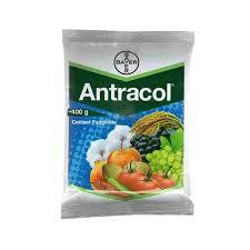 Antracol - Propineb 70% WP - Bayer
