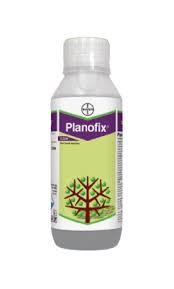 Planofix - Alpha-Naphthyl Acetic Acid 4.5% SL - Bayer