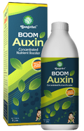 Boom Auxin - Concentrated Nutrient Booster - Gangothri