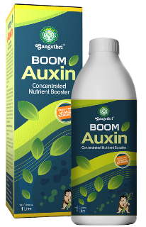 Boom Auxin - Concentrated Nutrient Booster - Gangothri