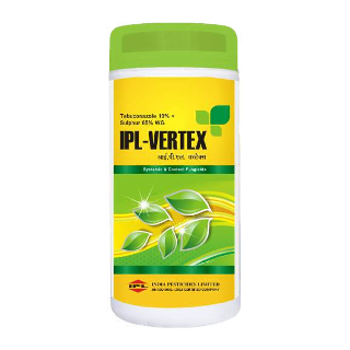 IPL-Vertex - Tebuconazole 10% + Sulphur 65% WG - India Pesticides Limited