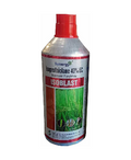 Isoblast - Isoprothiolane 40% EC - Synergy Agro Chemicals