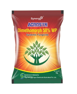 Acrosyn - Dimethomorph 50% WP - Synergy Agro Chemicals