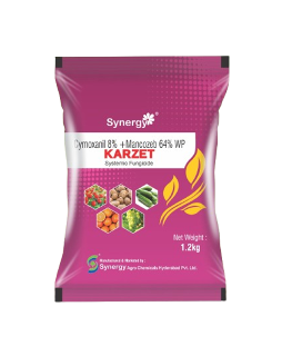 Karzet - Cymoxanil 8% + Mancozeb 64% WP - Synergy Agro Chemicals