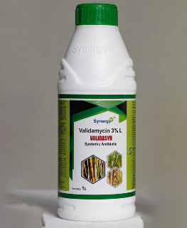 VALIDASYN - Validamycin 3% L - Synergy Agro Chemicals