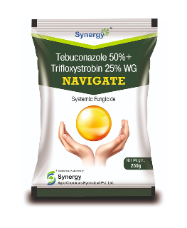 Navigate - Tebuconazole 50% + Trifloxystrobin 25% WG - Synergy Agro Chemicals