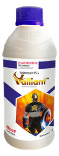 VALLIANT - Validamycin 3% L - Mahindra Summit