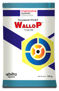Wallop - Tricyclazole 75% WP - Mahindra Summit