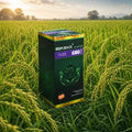 Boom Zenica - Microbial Biological Nutrient - Luminara Legacy