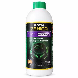 Boom Zenica - Microbial Biological Nutrient - Luminara Legacy