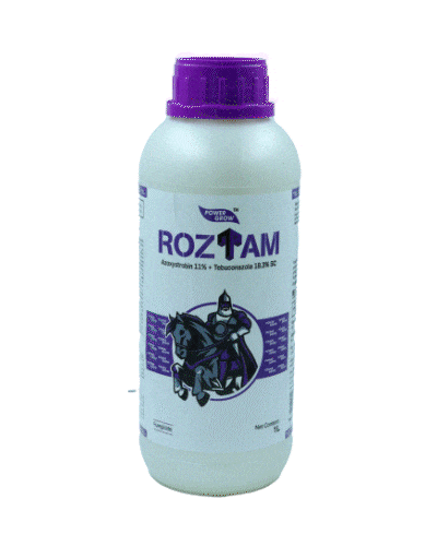 AgroStar Roztam (Azoxystrobin 11% + Tebuconazole 18.3% SC) 1 litre