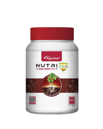 AgroStar Nutripro Zinc Zn 17% HEDP, 500 g jar