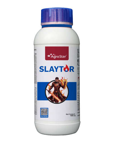 Slaytor Fomesafen 11.1% + Fluazifop-p-butyl 11.1% SL 400 ml original product pack